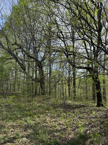 562 Junus Jackson Hollow Rd, Minor Hill, TN 38473