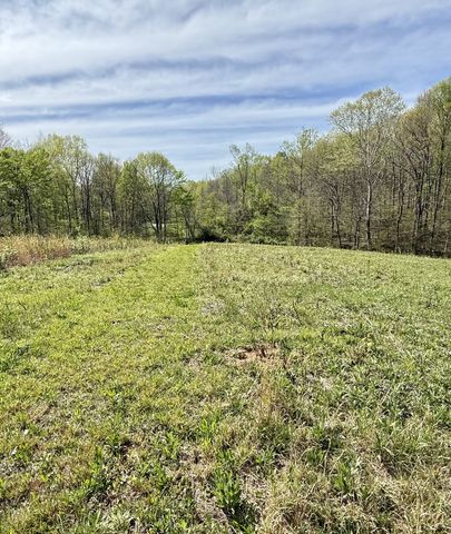 562 Junus Jackson Hollow Rd, Minor Hill, TN 38473
