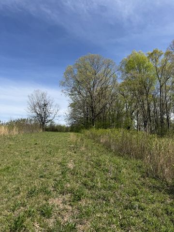 562 Junus Jackson Hollow Rd, Minor Hill, TN 38473