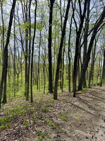 562 Junus Jackson Hollow Rd, Minor Hill, TN 38473