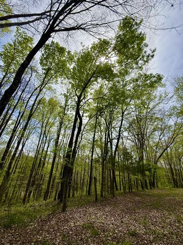 562 Junus Jackson Hollow Rd, Minor Hill, TN 38473