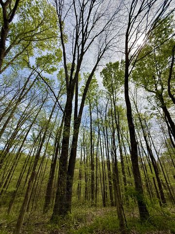 562 Junus Jackson Hollow Rd, Minor Hill, TN 38473