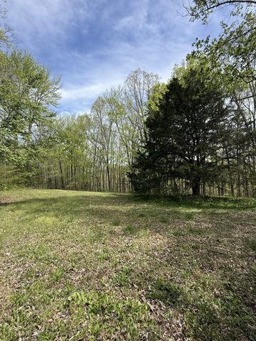 562 Junus Jackson Hollow Rd, Minor Hill, TN 38473