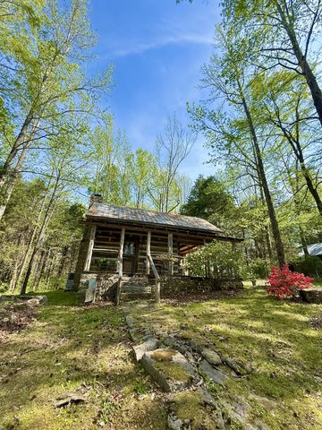 562 Junus Jackson Hollow Rd, Minor Hill, TN 38473