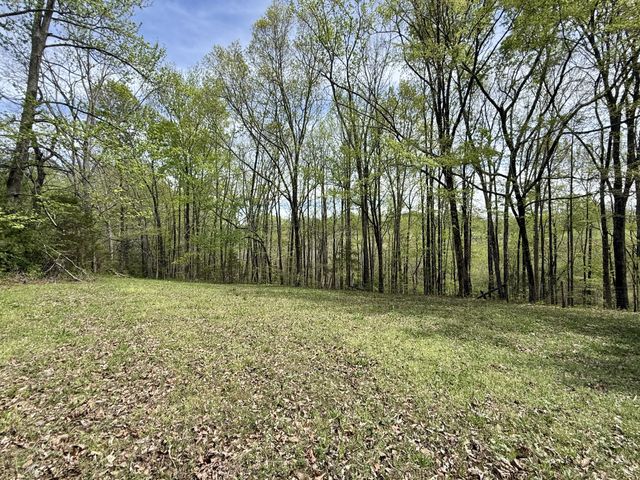 562 Junus Jackson Hollow Rd, Minor Hill, TN 38473