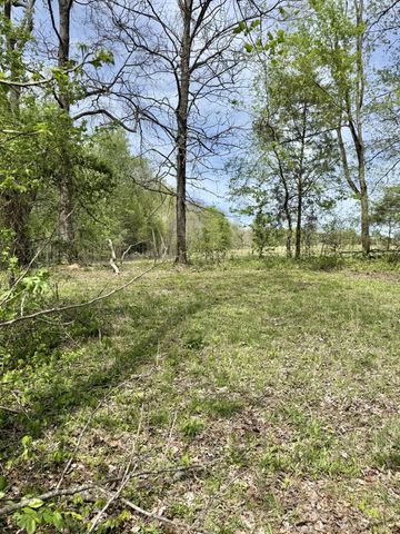 562 Junus Jackson Hollow Rd, Minor Hill, TN 38473