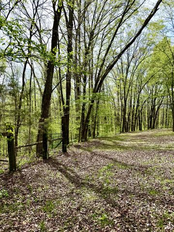 562 Junus Jackson Hollow Rd, Minor Hill, TN 38473