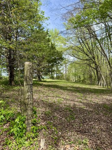 562 Junus Jackson Hollow Rd, Minor Hill, TN 38473