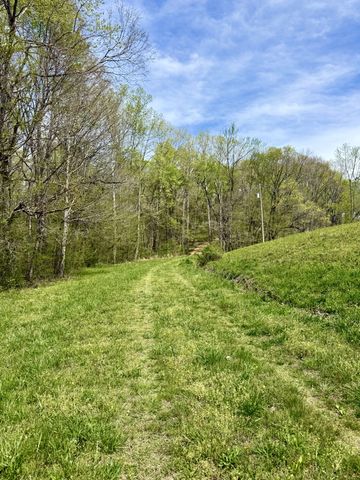 562 Junus Jackson Hollow Rd, Minor Hill, TN 38473
