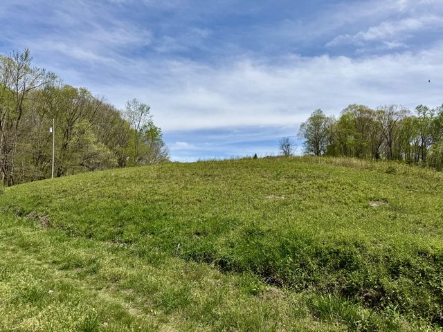 562 Junus Jackson Hollow Rd, Minor Hill, TN 38473
