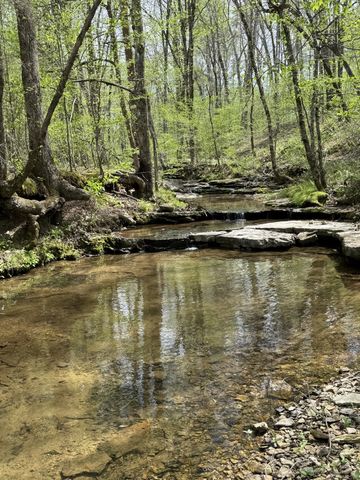 562 Junus Jackson Hollow Rd, Minor Hill, TN 38473