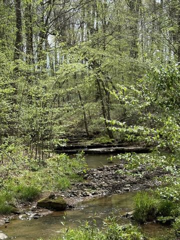 562 Junus Jackson Hollow Rd, Minor Hill, TN 38473