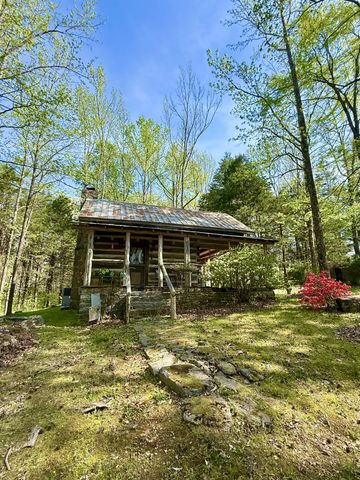 562 Junus Jackson Hollow Rd, Minor Hill, TN 38473