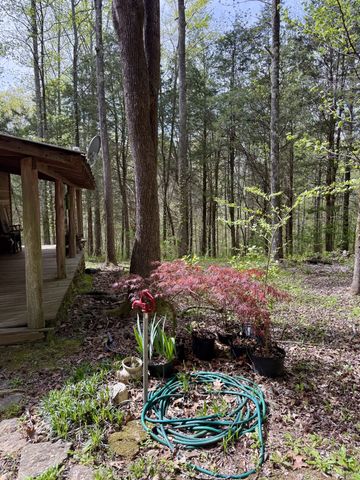 562 Junus Jackson Hollow Rd, Minor Hill, TN 38473