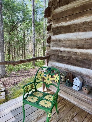 562 Junus Jackson Hollow Rd, Minor Hill, TN 38473