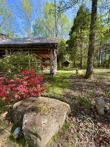 562 Junus Jackson Hollow Rd, Minor Hill, TN 38473
