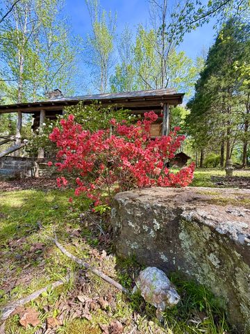 562 Junus Jackson Hollow Rd, Minor Hill, TN 38473