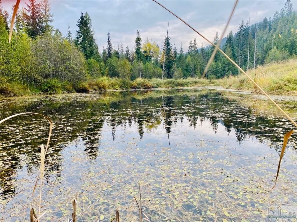96 S Sanctuary Loop, Other-See Remarks, MT 59844 photo 3
