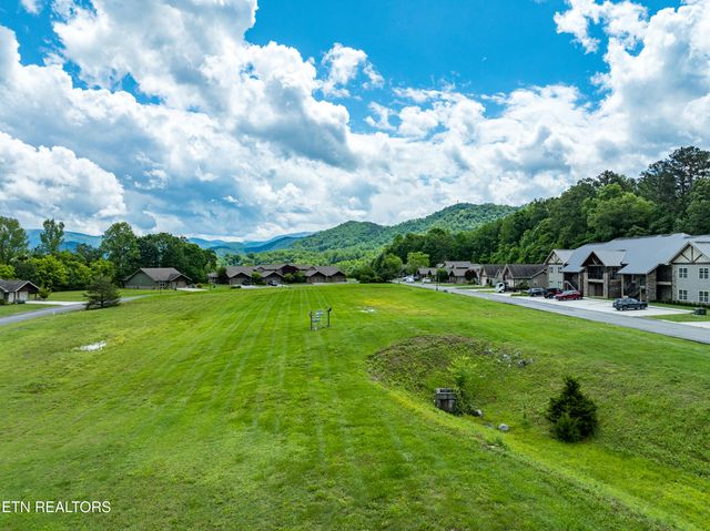 229 Bishops Cap Circle 106, Townsend, TN 37882