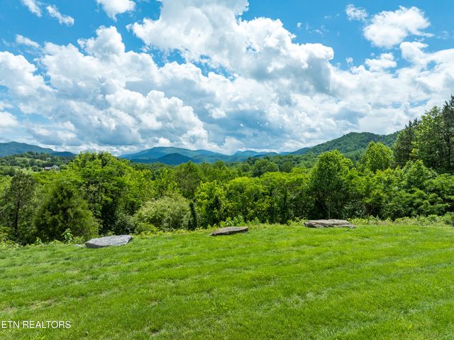 229 Bishops Cap Circle 106, Townsend, TN 37882