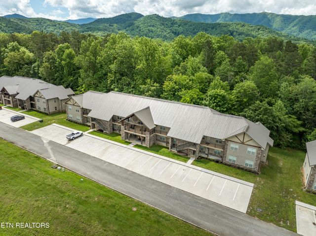 229 Bishops Cap Circle 106, Townsend, TN 37882