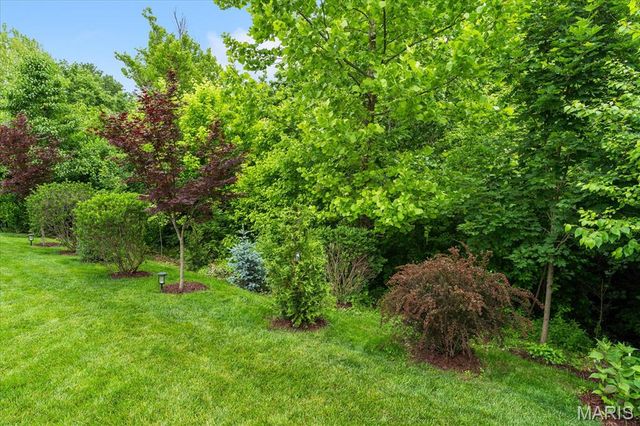 7968 Donner Ridge, Caseyville, IL 62232