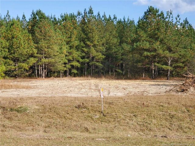949 Pendergrass Road W Road, Raeford, NC 28376