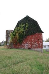 2975 #3 Boynton Avenue, Ada, MI 49301