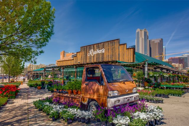 2123 Diversey Street, Dallas, TX 75201