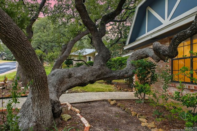13123 HUNTERS SPRING ST, San Antonio, TX 78230