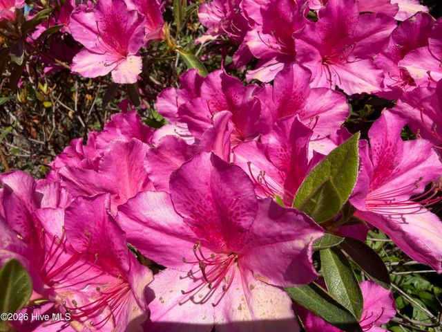 103 Fairway Lane, Cape Carteret, NC 28584