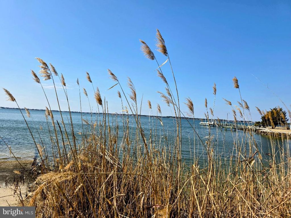 Image 23 of property listing at 1905 BAYSIDE DR, Chester, MD 21619