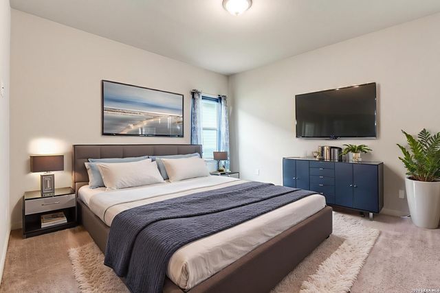 4684 Grey Sotol, Cibolo, TX 78108