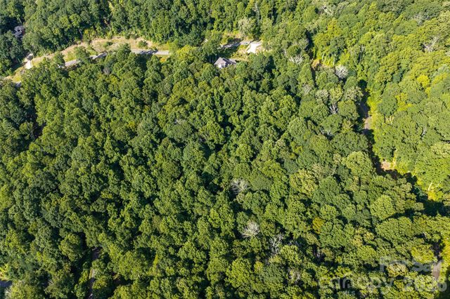 1043 Moss Creek Lane 69, Swannanoa, NC 28778