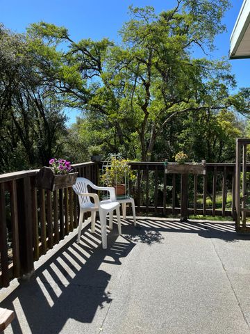 25160 Pineview Dr, Colfax, CA 95713