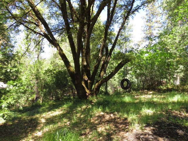 25160 Pineview Dr, Colfax, CA 95713