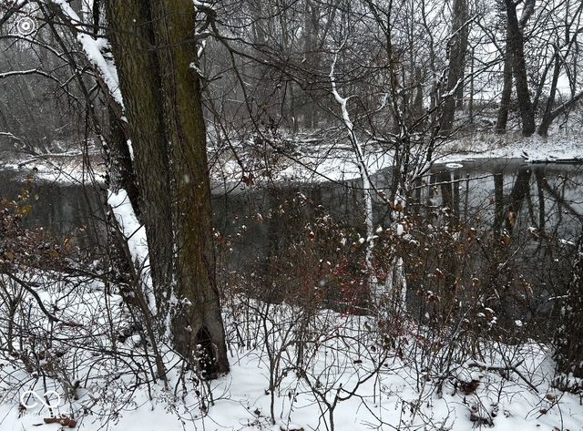 513 W State Street, Pendleton, IN 46064