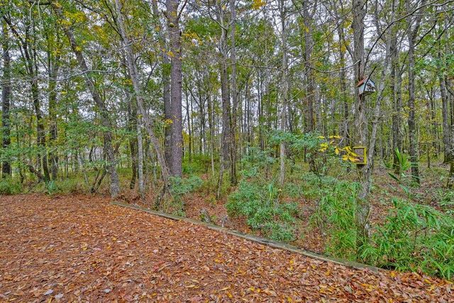 1616 Camfield Lane, Mount Pleasant, SC 29466