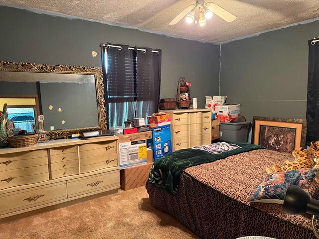 147 CR 239, Corning, AR 72455