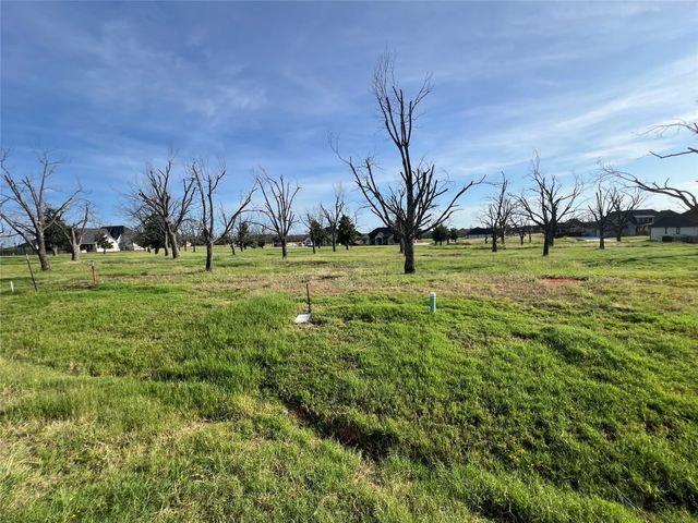 3710 Tremont Lane, Granbury, TX 76049