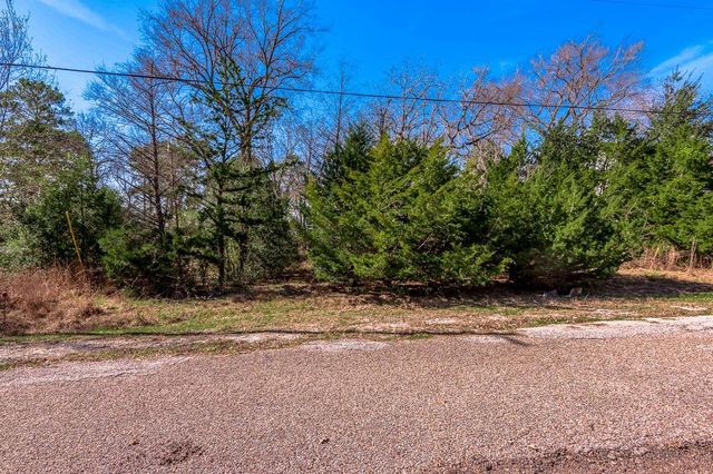 284 & 285 Arrowhead Lane, Huntsville, TX 77320