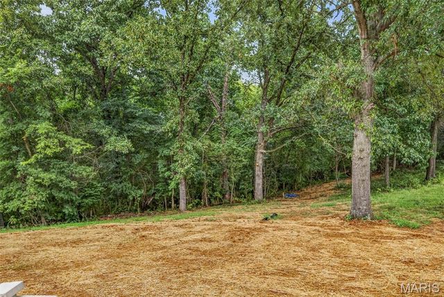 1527 Koch Lane, De Soto, MO 63020