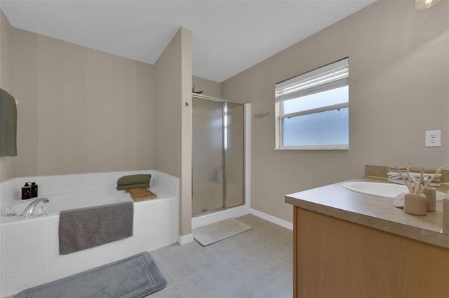 1033 TWISTED BRANCH LANE, St Cloud, FL 34771