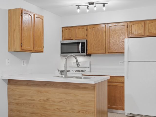 523 Bridle Trail, Wheeling, IL 60090