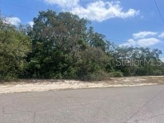 0 CLEARWATER DRIVE, Spring Hill, FL 34606