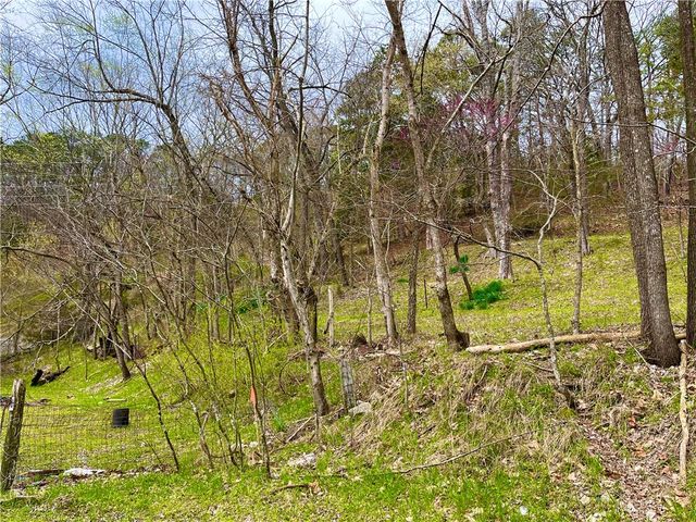 103 Washington, Eureka Springs, AR 72632