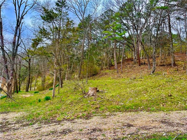 103 Washington, Eureka Springs, AR 72632