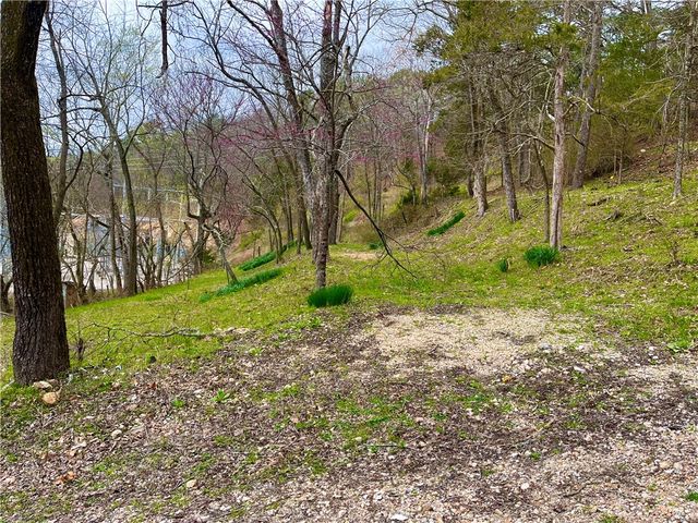 103 Washington, Eureka Springs, AR 72632