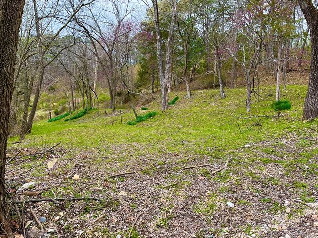 103 Washington, Eureka Springs, AR 72632