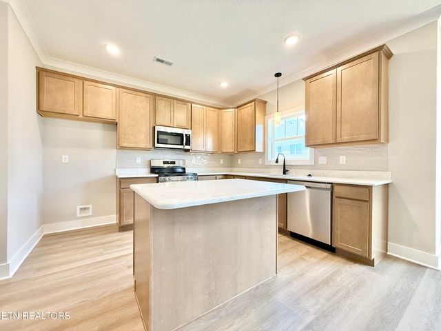 3213 Song Sparrow Drive, Maryville, TN 37803